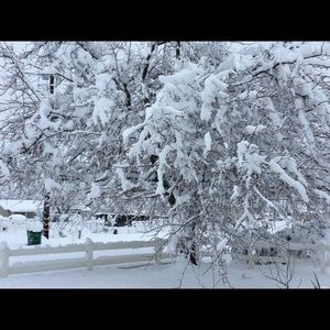 Meet your Posher, Elisa